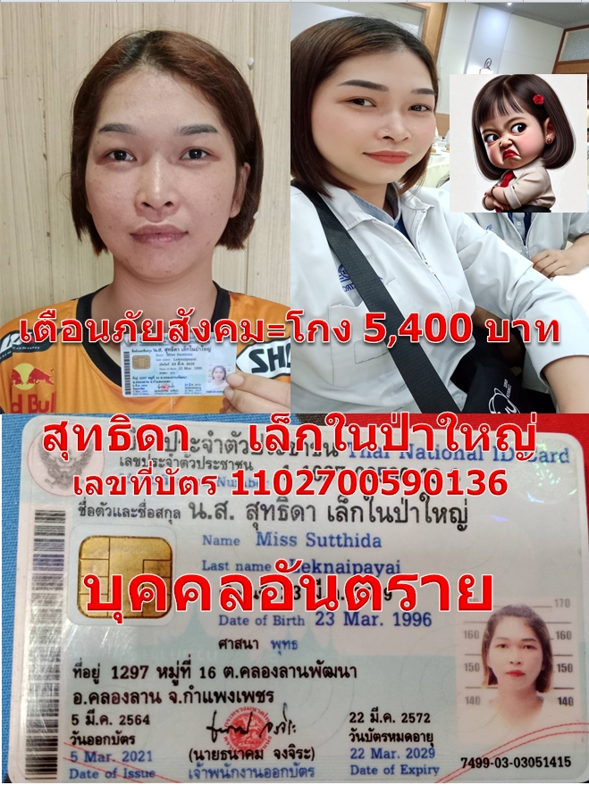 สุทธิดา   เล็กในป่าใหญ่.jpg